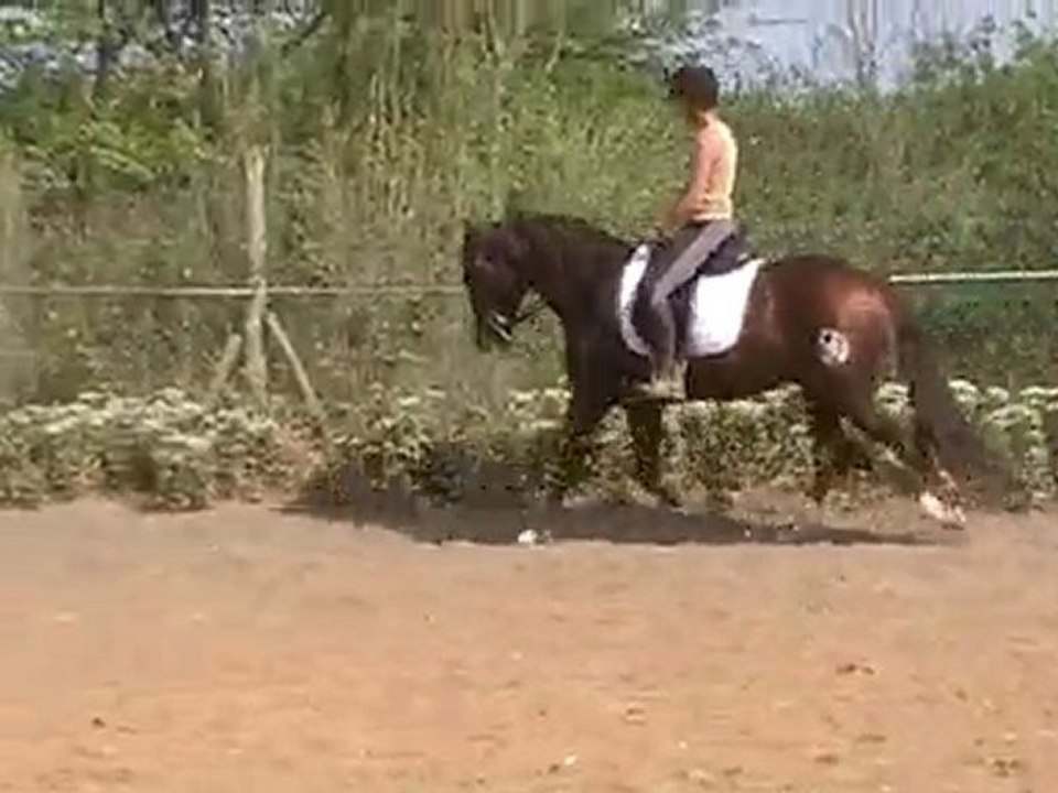 o rey video trot autre main