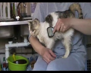 Fioul 2 24 avril 2010