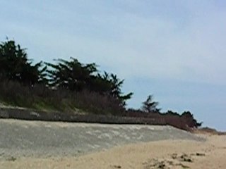 Un avant goût des vacances... L'ile de Ré...
