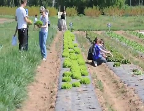 BESSAN - 2010 -La cueillette de Caillan a réouvert ses portes
