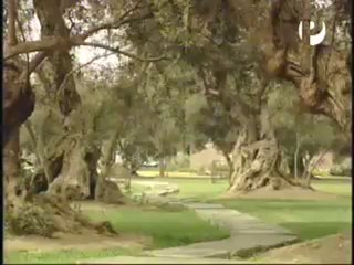 A LA VUELTA DE LA ESQUINA 3-3  RBOLES DE LIMA