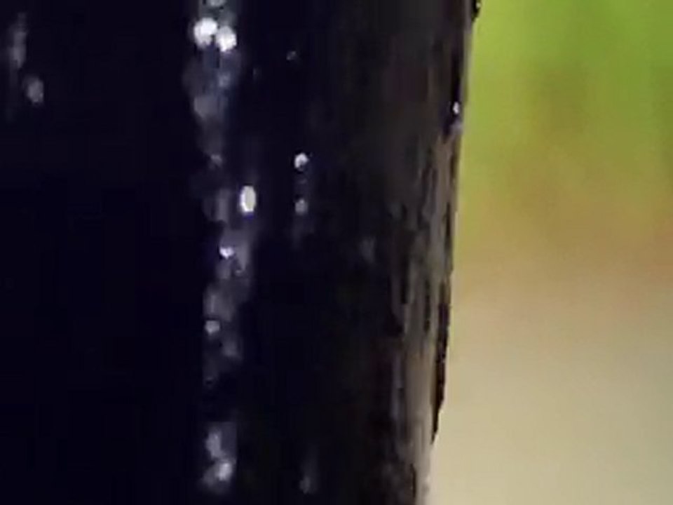 Canon 7D testing