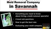 Mold Remediation Contractors Savannah Guide - Protect Yours