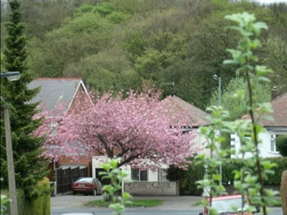 spring colours