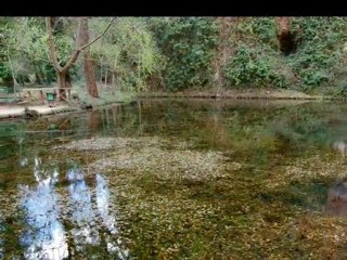 IES Zaurin - Excursión Monasterio de Piedra