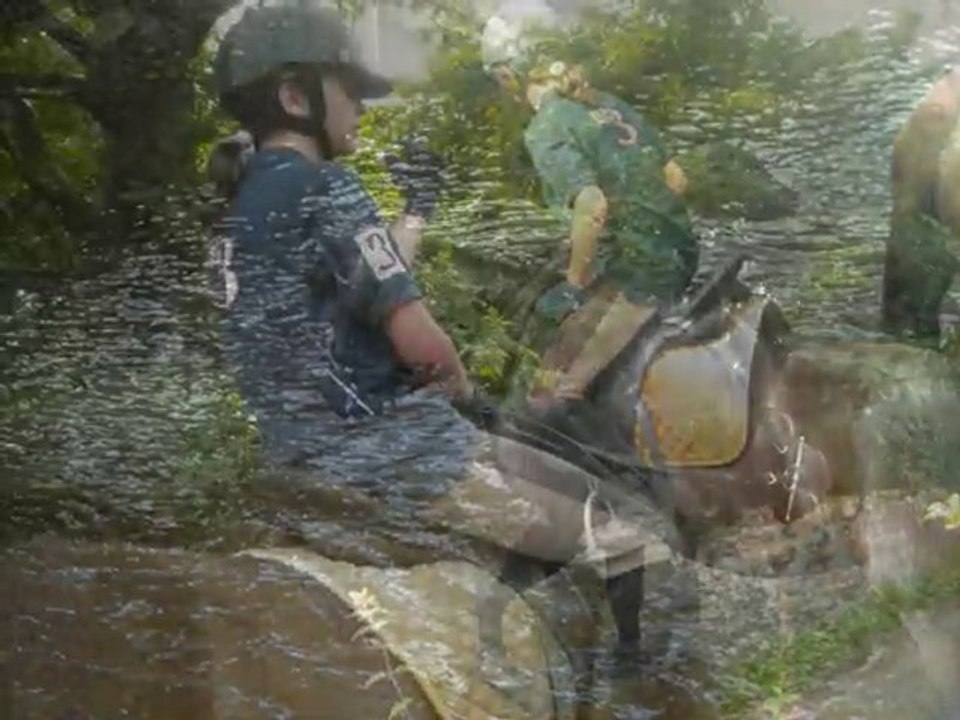 Mon Petit Poney Sauvage.. 9 Mois de Bonheur sur ton dos