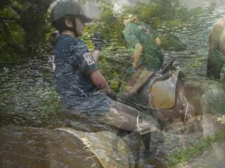 Mon Petit Poney Sauvage.. 9 Mois de Bonheur sur ton dos