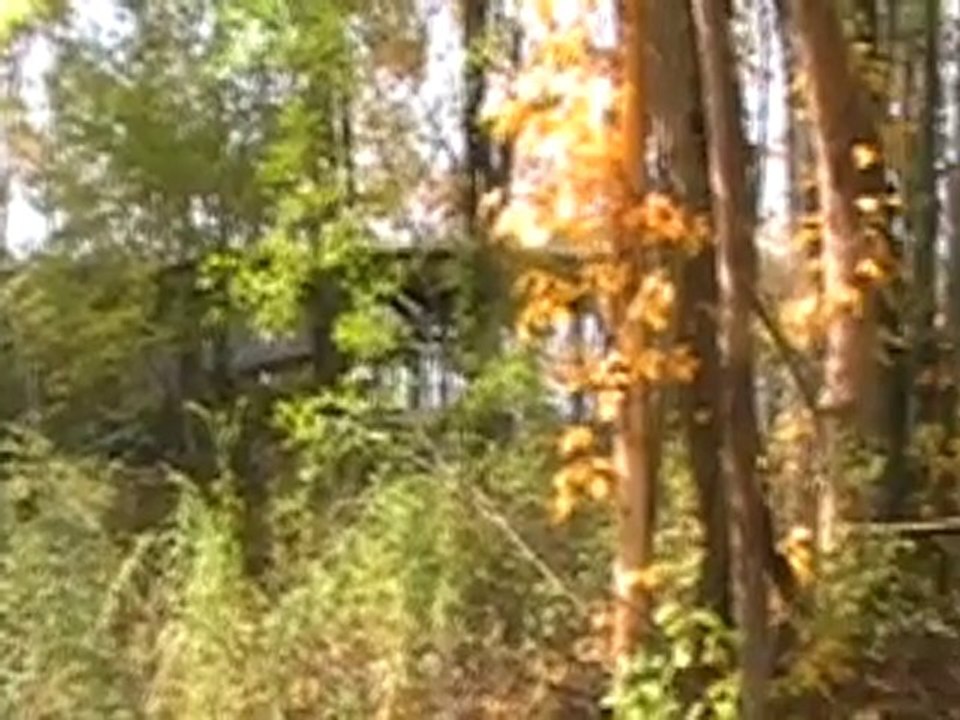 RED's Tribute to Chippewa Lake Park