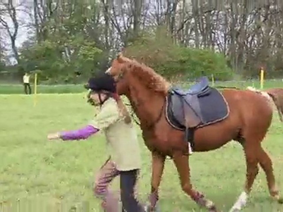 Mounted Games Turnier Panitzsch