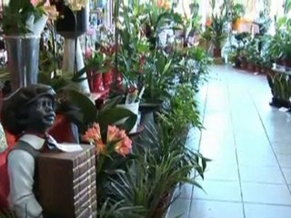 Fleurs Christine, fleuriste à Chimay et Momignies