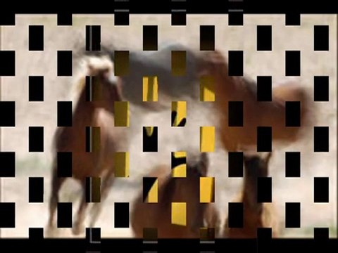 nurdal durmuş hiç sesler