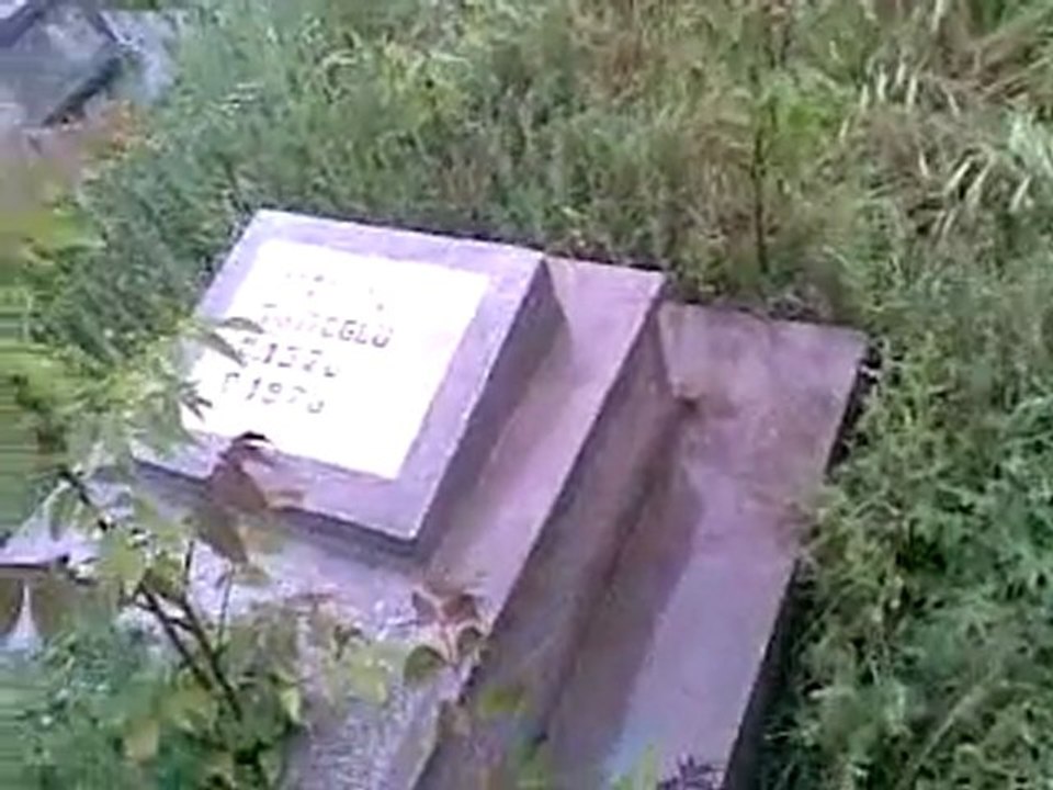 İstanbul, İzmir, Ayvalık, Çeşme, Foça, Kuşadası, Selçuk, Efes, Bergama İngilizce-Norvecce Profesyonel Kokartlı Turist Rehberi, Sinan Tortum ( Tel. 0090.539.2240093)--Malatya Ermeni Mezarlığı/// Malatya Armenian Cemetery