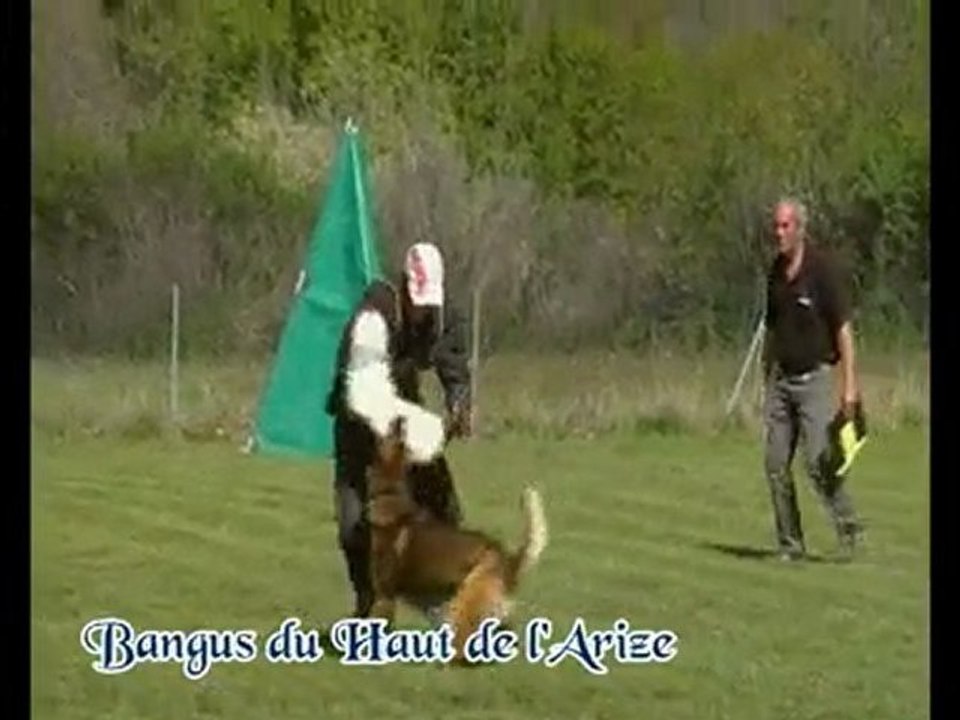 championat régional pyrenees gascogne 2010 avec DD (~_0)