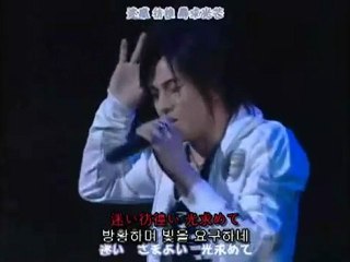 Reborn Concert in Japan 2008 PARTIE 05