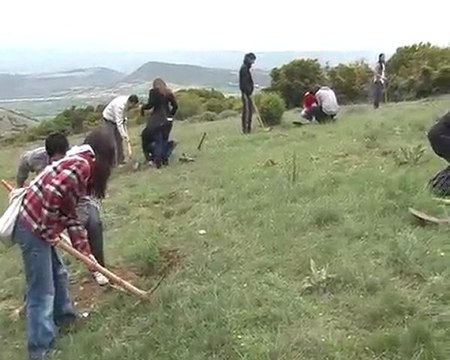 BİLECİK AK PARTİ GENCLİK KOLLARI AĞAÇ DİKTİ