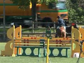 ROXANE DES RIOLLETS par ALLEGRETO et DEMONE DU LUKKA 5 ans A