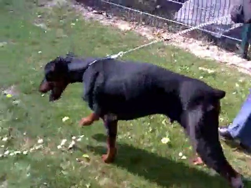 ETHAN (1)