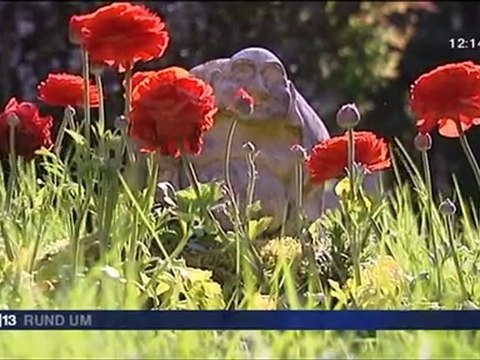 Buddhist monastery in France - zen retreats - french/german