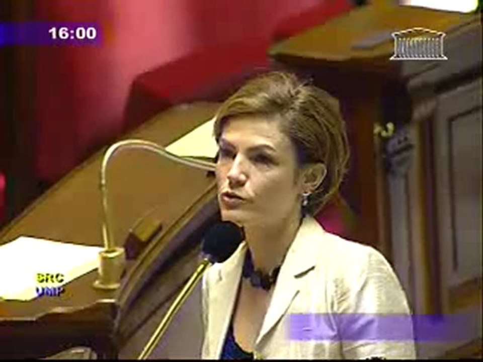 Réponse du Gvt à Christiane Taubira sur le schéma minier