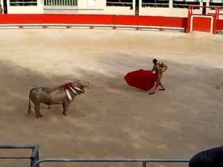 Mehdi Savalli faena Prieto de la Cal