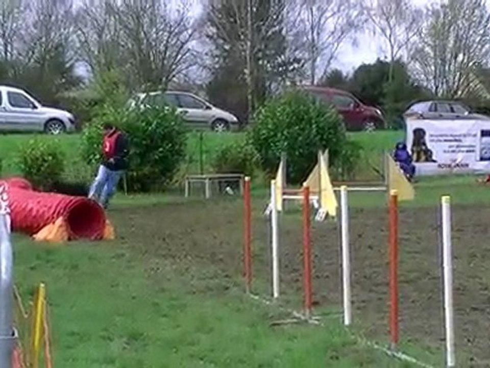 attila concour verriere 2010