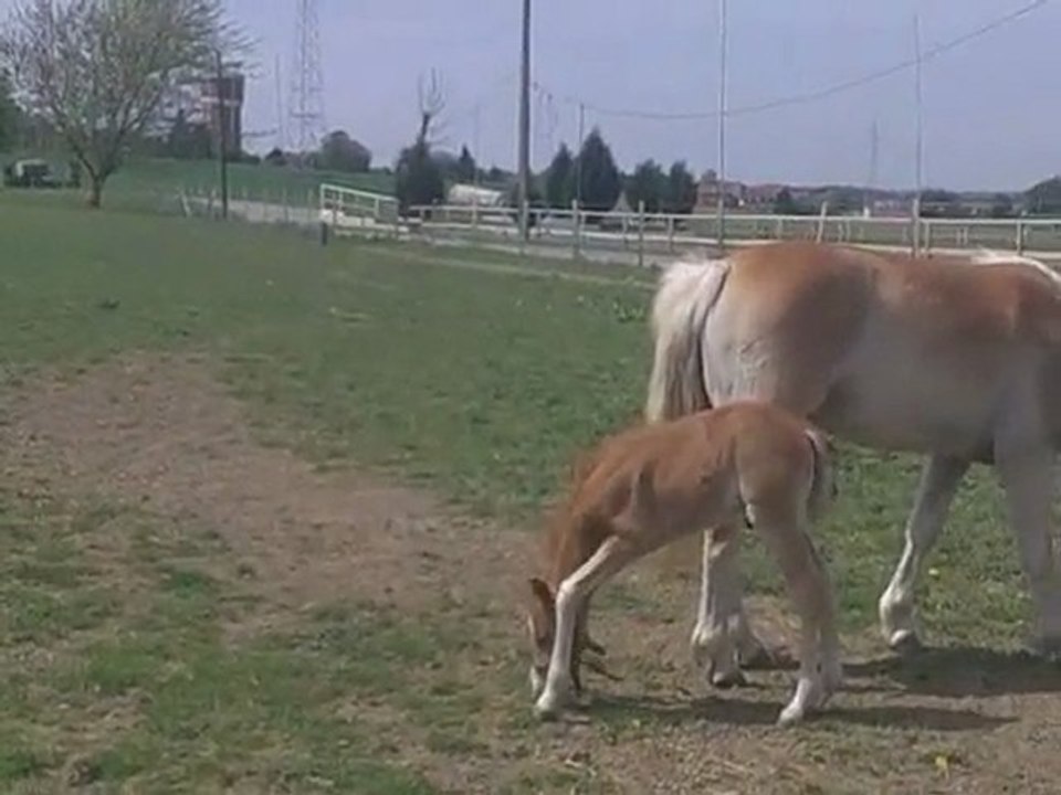 25 éme jours de vie de spirit
