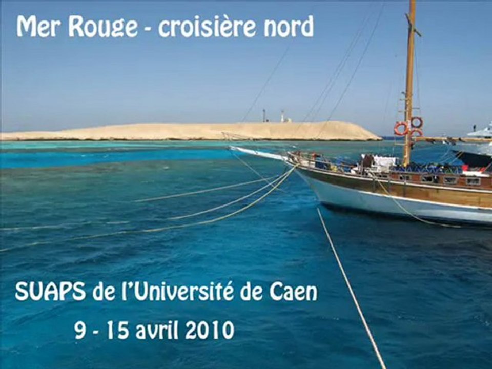 Plongée en Mer Rouge avec le SUAPS de Caen
