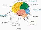 FUNDAMENTOS IE II PARTE 3