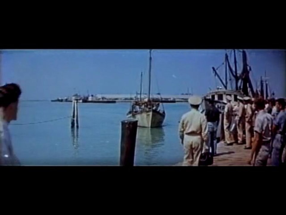 Beneath the 12-Mile Reef