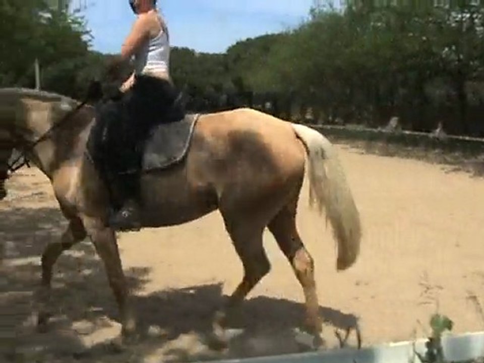 28avril2010  qumba2