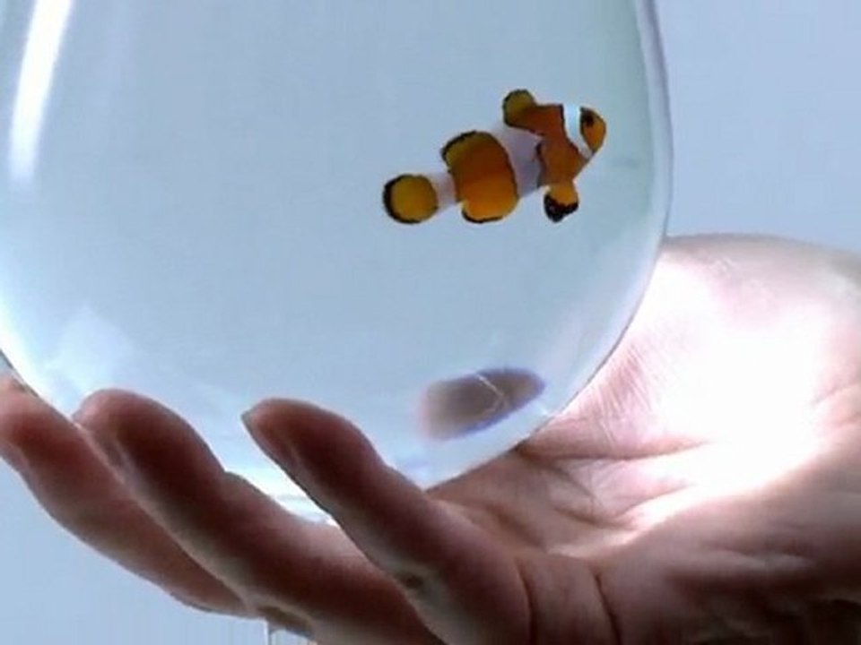 Waterproof Camera New Samsung WP10