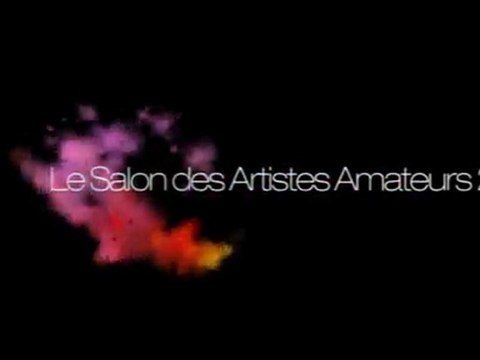 Salon des Artistes Amateurs 2010