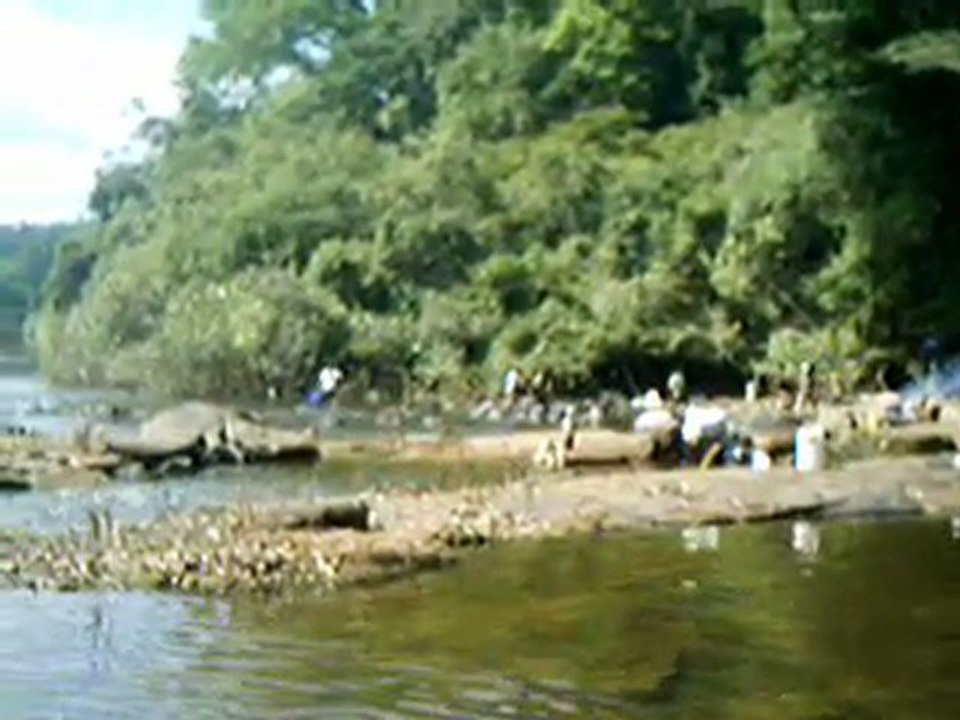 nivrée chez les wayanas