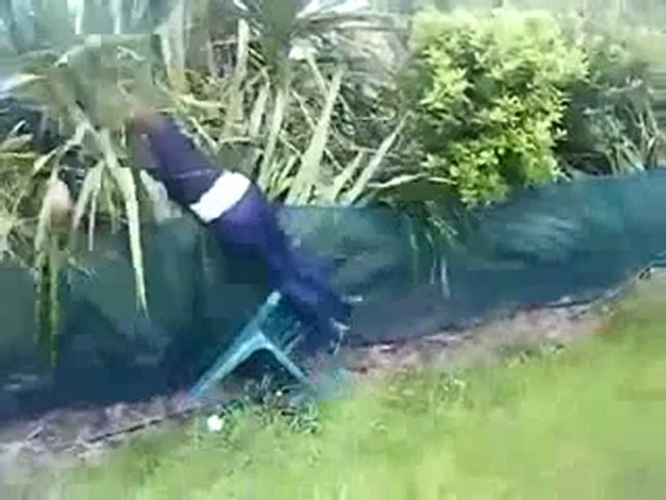 les_fails_de_janvier_2010