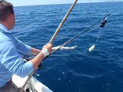 congre 15 kgs en peche profonde sur ajaccio (corse)