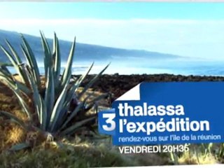 Thalassa : Rendez-vous sur l'Île de la Réunion