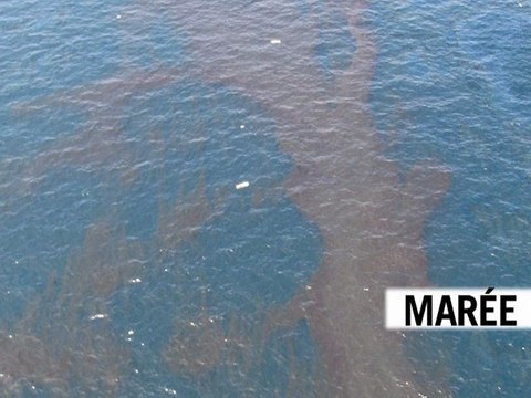 Le Journal vidéo du jeudi 29 avril 2010, édition de 12H00