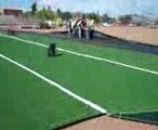 Artificial Grass,  Synthetic Turf, Arizona Luxury Lawns