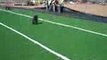 Artificial Grass,  Synthetic Turf, Arizona Luxury Lawns