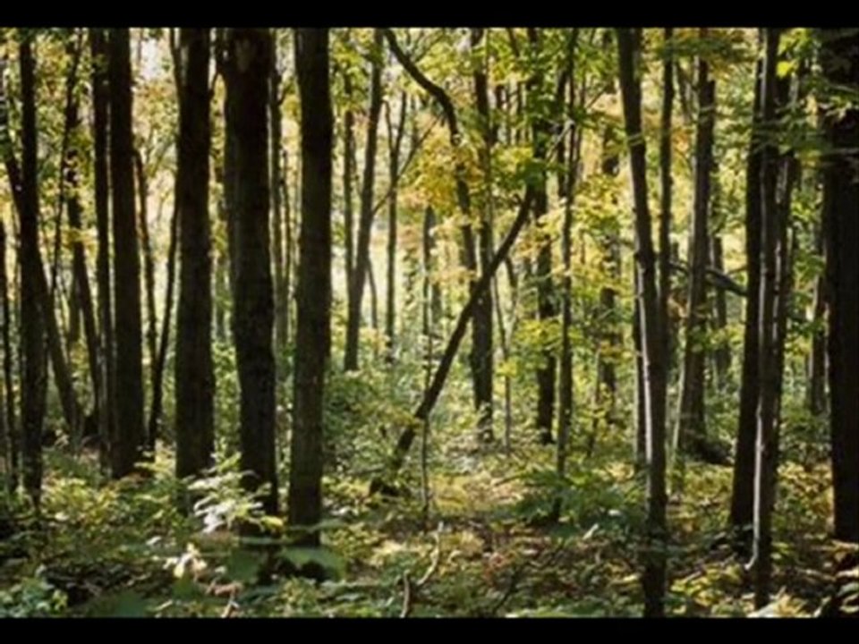 two young fools ( Funny )