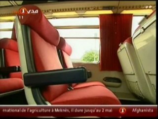 فن و مبدعون روجي تلون