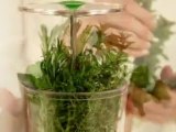 Cuisipro Herb Keeper - Keep Herbs Fresh For Longer