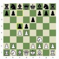 Chess.com - Live Sessions; Static vs. Dynamic Variations