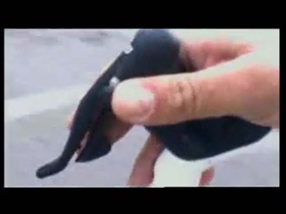 Vélo route moins de 10Kg ! Sport 3 b'Twin