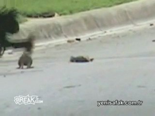 Arkadaş dediğin böyle olur!