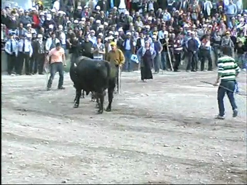 yarıfinal-final güreşi