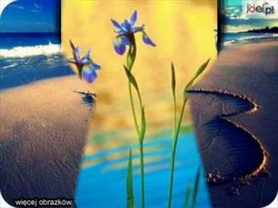 Szczęśliwe bezokoliczniki_0002