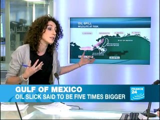 Gulf of Mexico: Oil slick threatening Wildlife