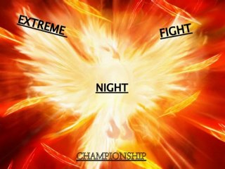 promo WFW Extreme Fight Night 2010