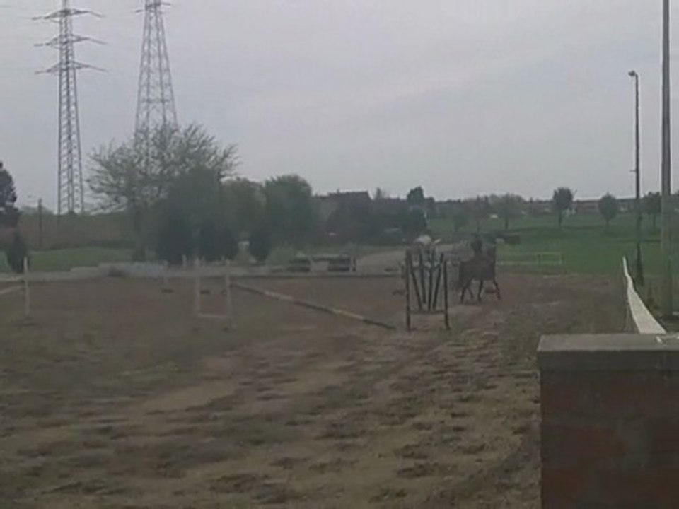 journée travaille pour balou